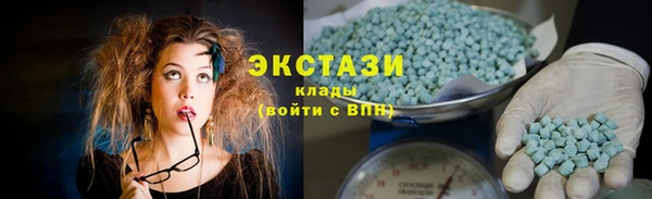стаф Вязьма