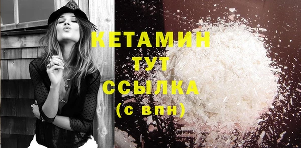 стаф Вязьма