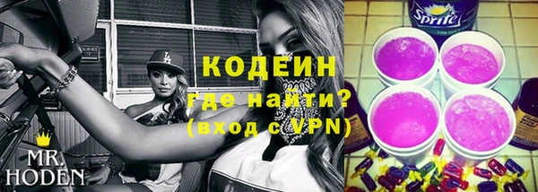 стаф Вязьма