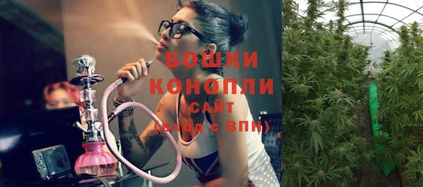 стаф Вязьма