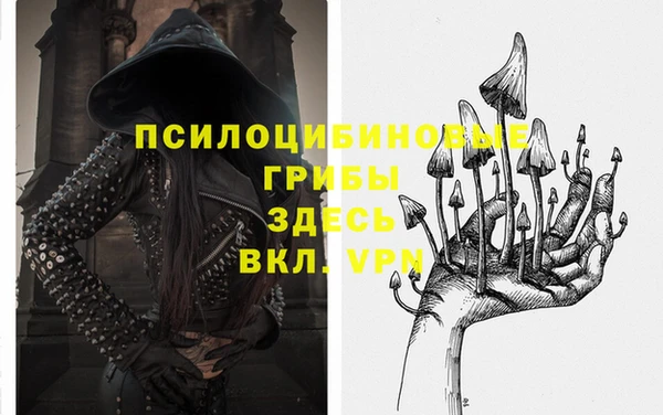герыч Вяземский
