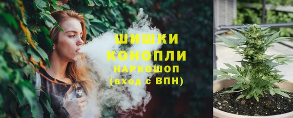 стаф Вязьма
