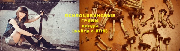 герыч Вяземский
