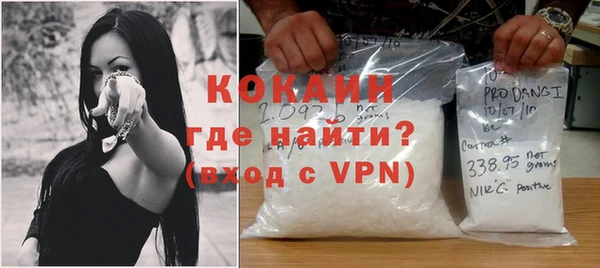 стаф Вязьма